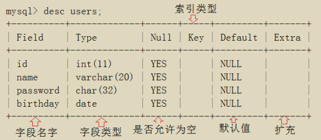 表结构