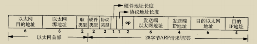 ARP报文格式