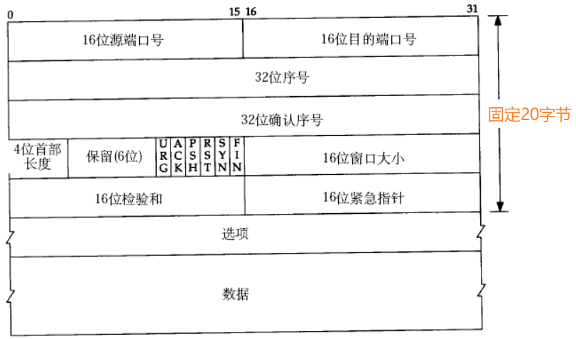tcp报文结构